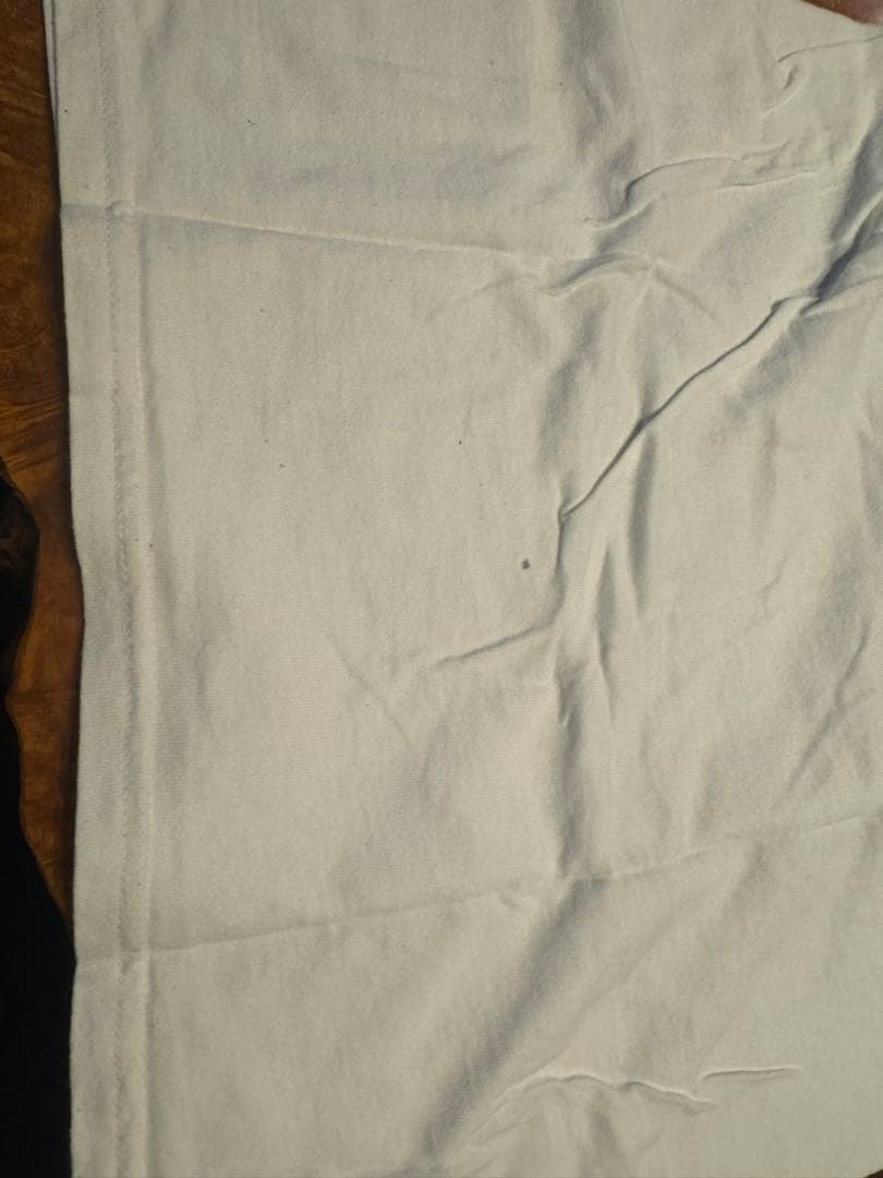 PINKFLOYD 白GILDANTシャツサイズS2008年コピーライト入り美品