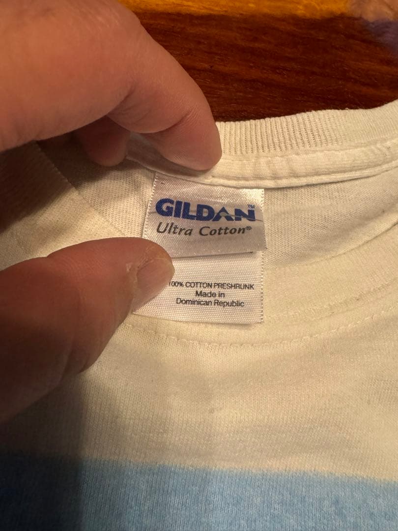 PINKFLOYD 白GILDANTシャツサイズS2008年コピーライト入り美品