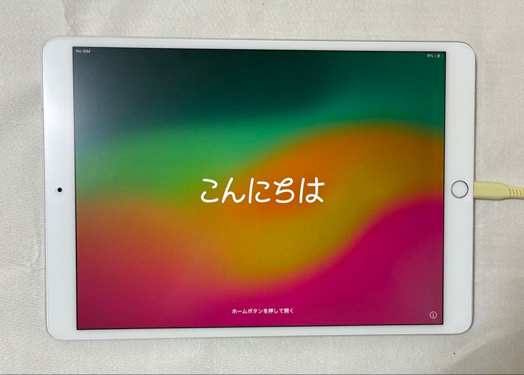 iPad Pro10.5インチ シルバー 本体 容量64GB