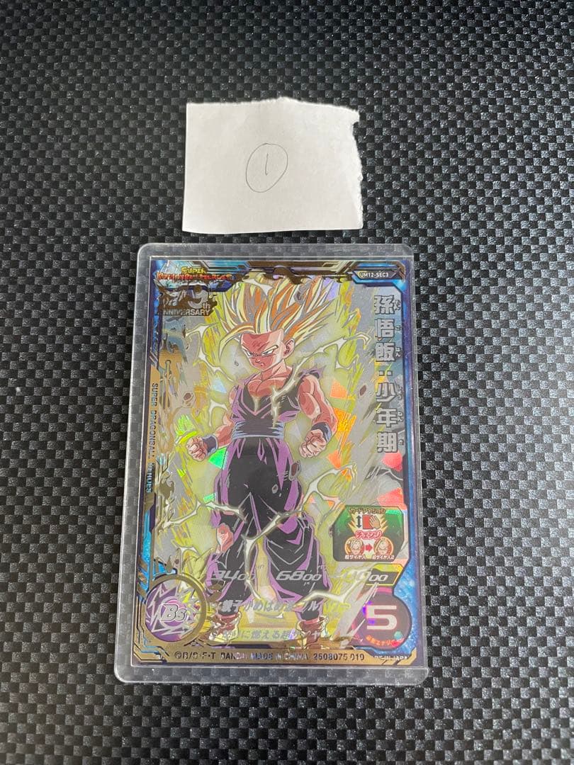 UM12-SEC3 孫悟飯：少年期①