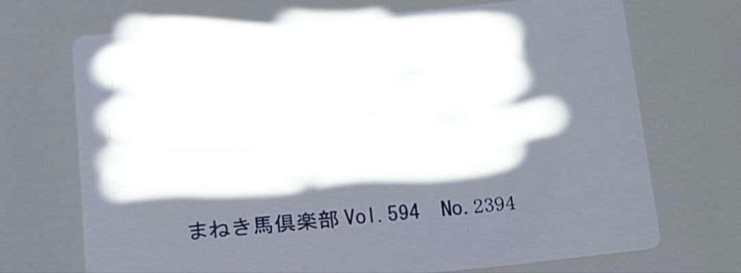 新品 スターズオンアース まねき馬 倶楽部 レインボーカード カード 競馬