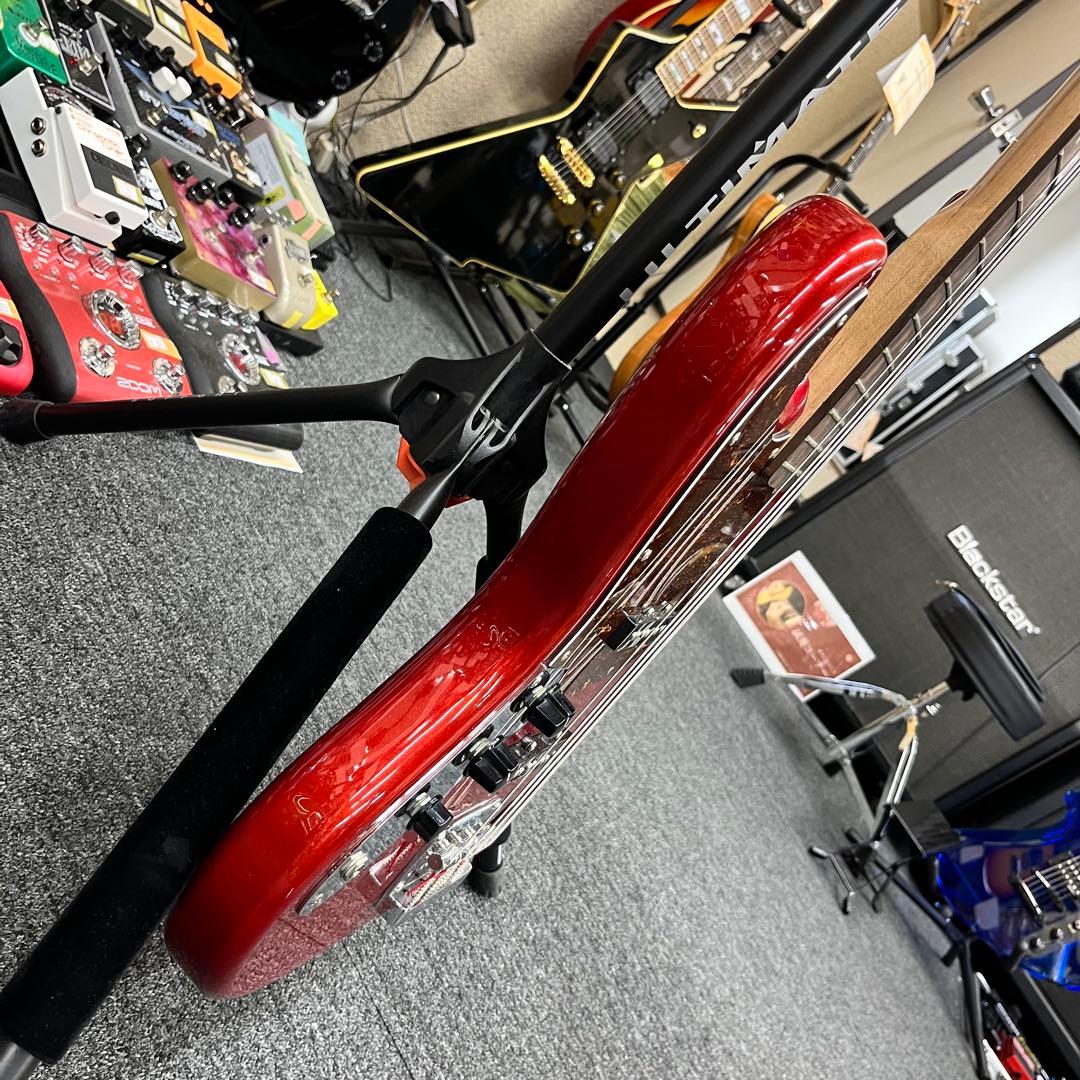 ケース追加【11205】【左利き用】 Legend by Aria Pro II