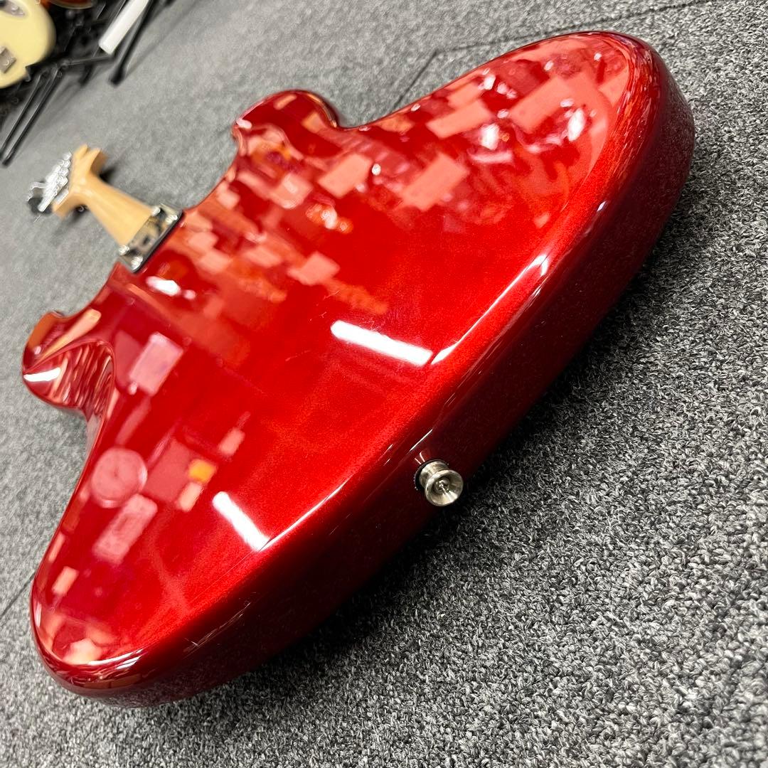 ケース追加【11205】【左利き用】 Legend by Aria Pro II