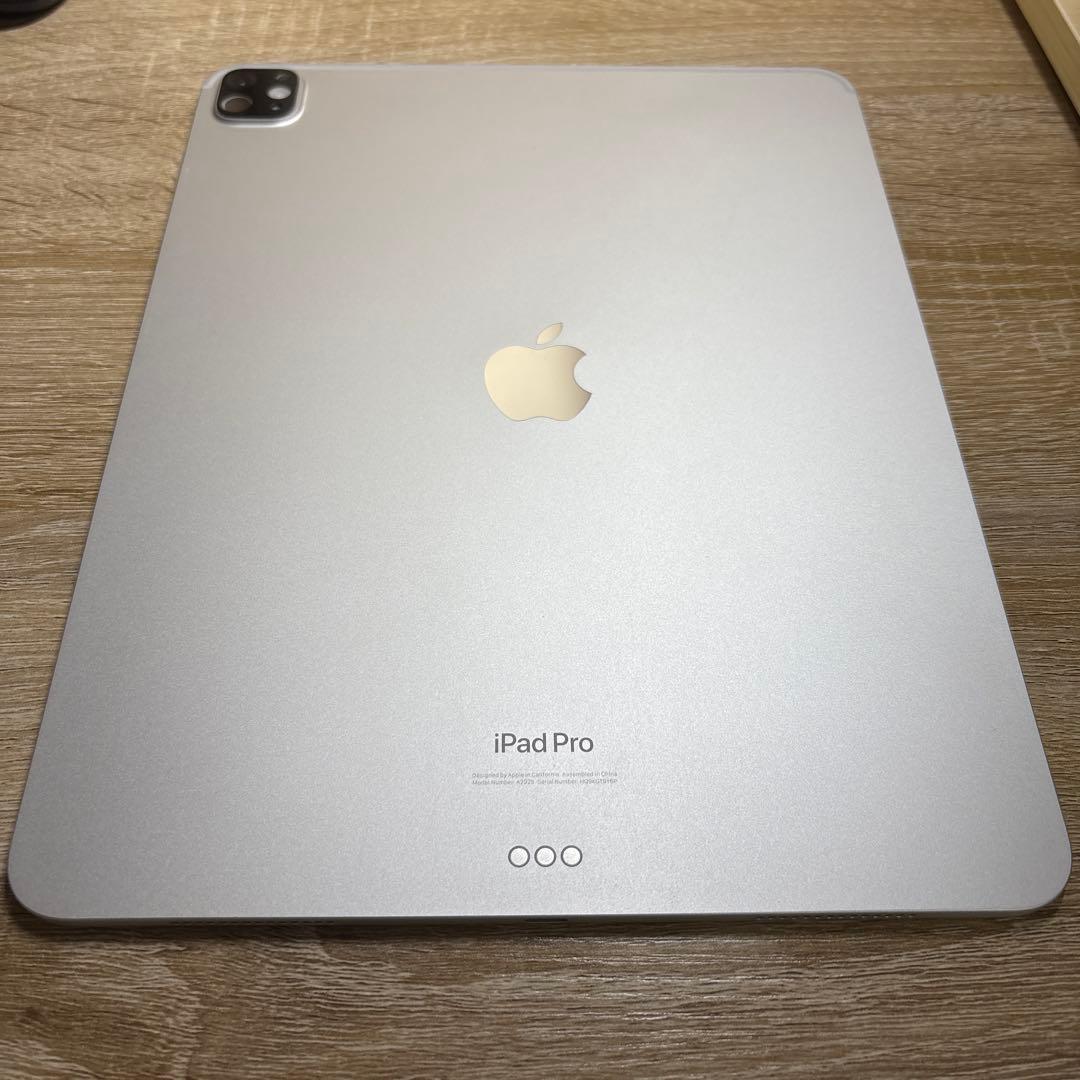 付属品多数　iPad Pro 13インチ M4 256GB シルバー Wi-Fi