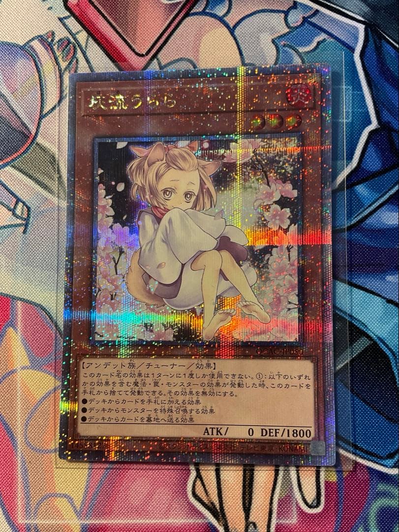 ゆ*う様 遊戯王　灰流うらら　絵違い　25thクォーターセンチュリーシークレット