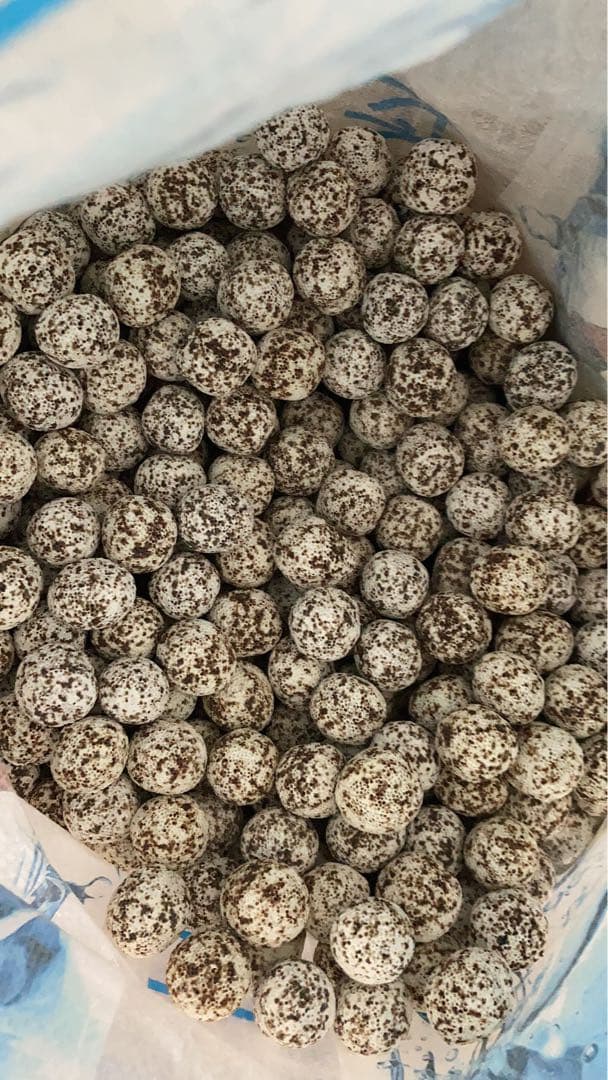 水質浄化抜群濾過材ボールろ材納豆菌入り多孔質パワーボール18L即時発送送料込み