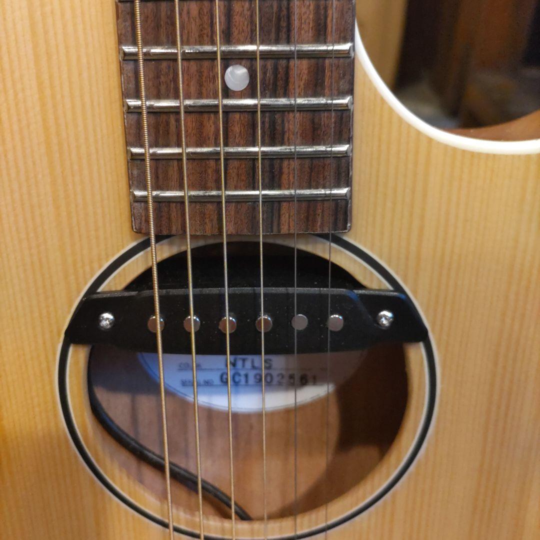 GrassRoots G-AC-45 エレアコ (管理ワテ)