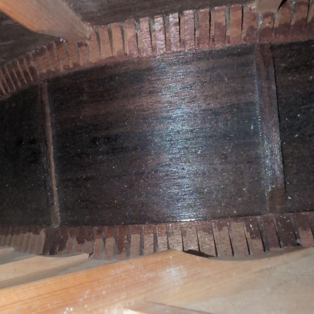 JOHNSON JD-27 オール単板 ドレッドノート