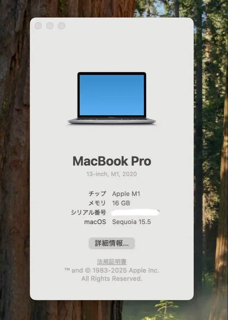 MacBook Pro13インチSSD512GBメモリ16GBUSキー2020