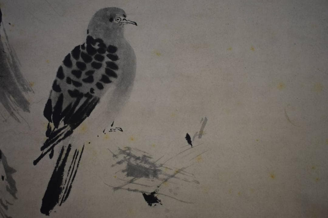 模写/狩野探幽/枯山鳩図/布袋屋掛軸HE-764