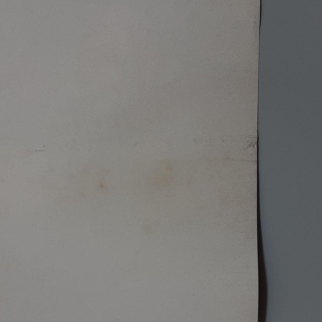 「モスラ対ゴジラ　松本零士版」　B2　ポスター