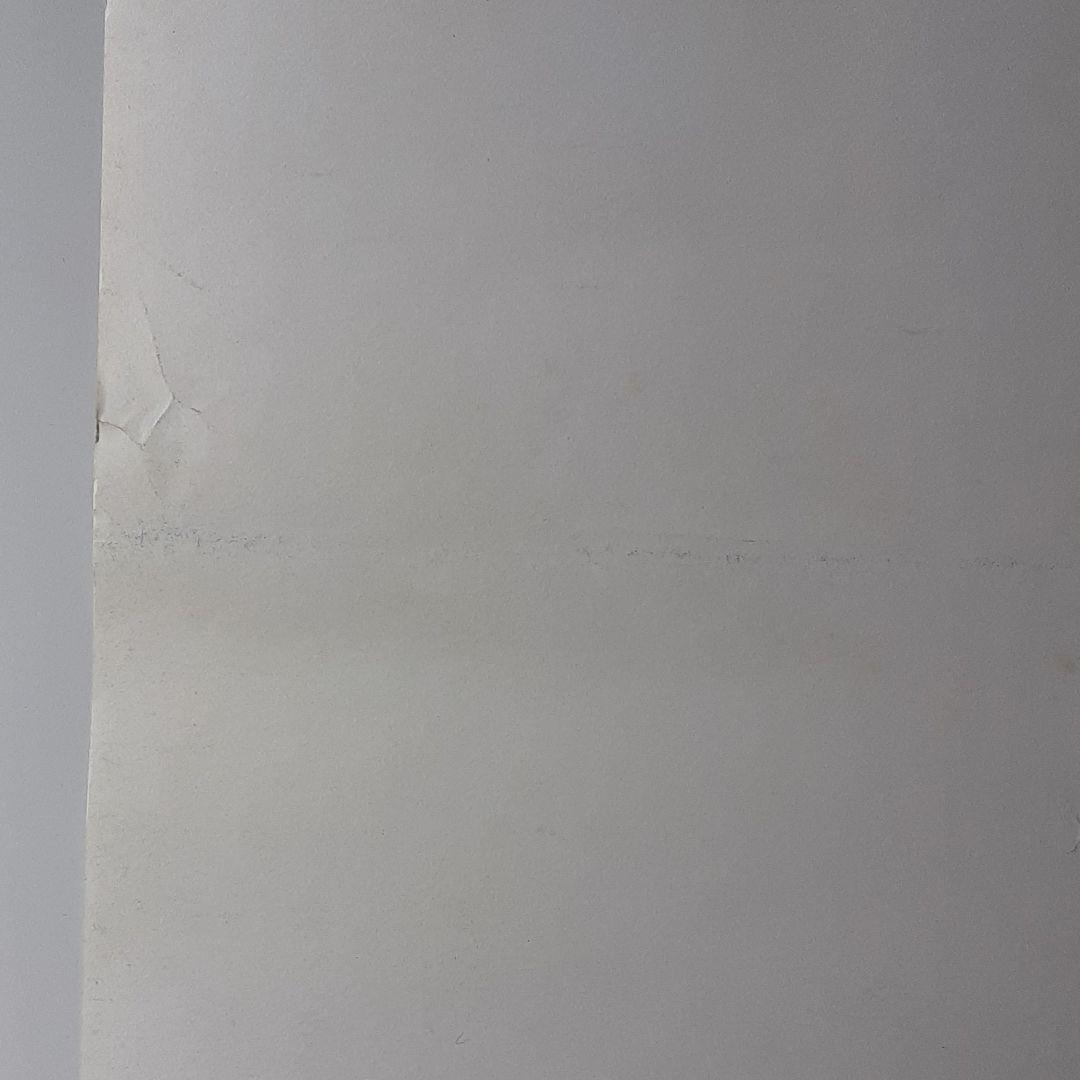 「モスラ対ゴジラ　松本零士版」　B2　ポスター