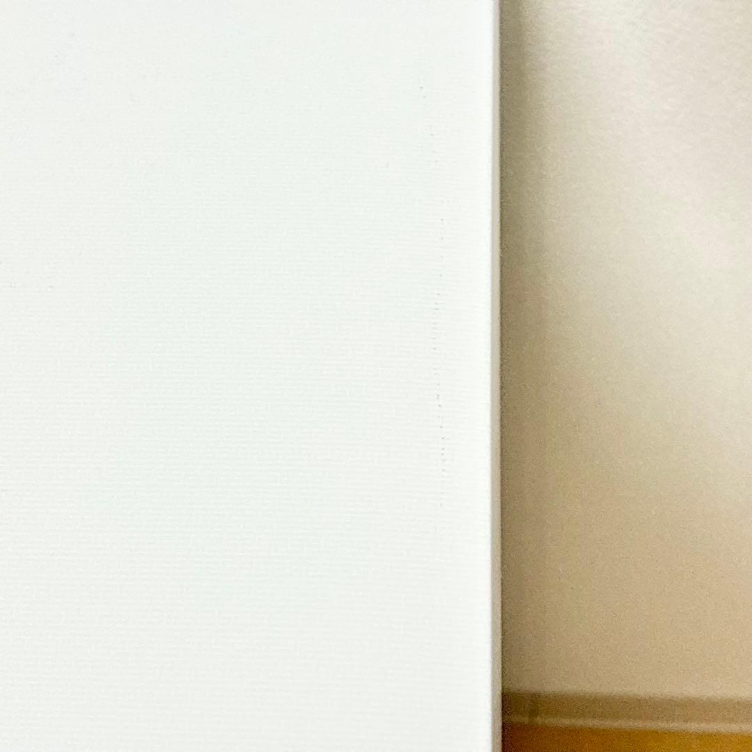 ¥13000↓ ヨドバシカメラ オリジナル 冷蔵庫 HYDF-2-11