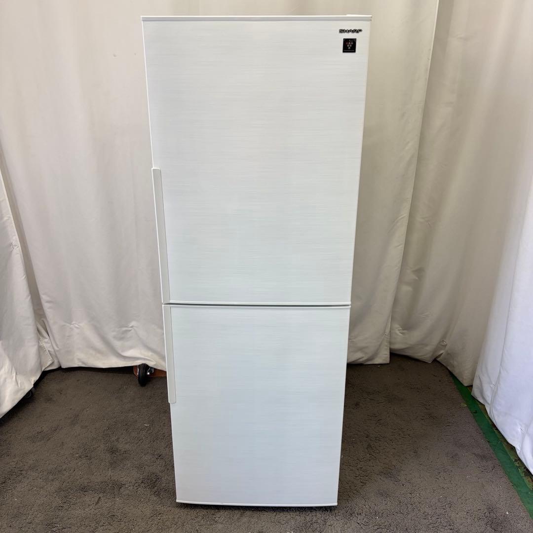 13　冷蔵庫　シャープ　一人暮らし　大きめ　200-300ℓ　綺麗　設置無料