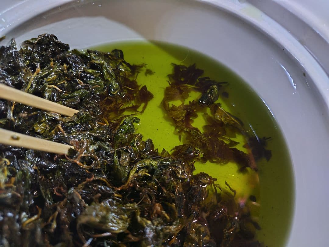 【沖縄県産】月桃縄☆100m＋よもぎオイル30ml