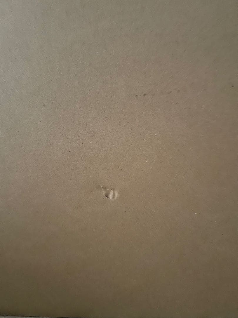 ＰＧ 1/60 ユニコーンガンダム ペルフェクティビリティ新品未開封