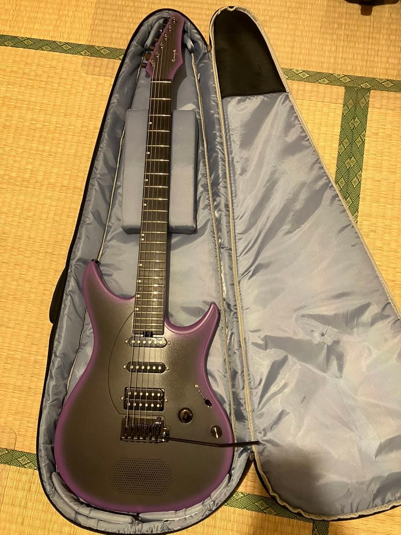 【最終値下】Enya Inspire  Purple