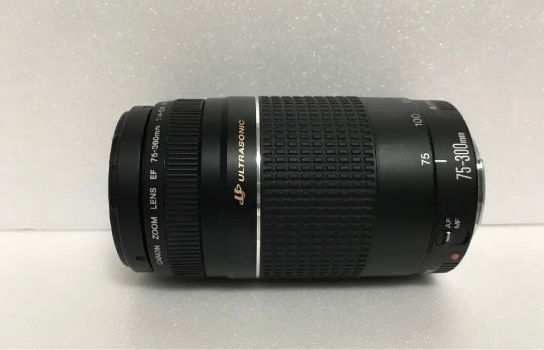 超望遠レンズ/デジタル一眼レフカメラ　Canon EF75-300 mm