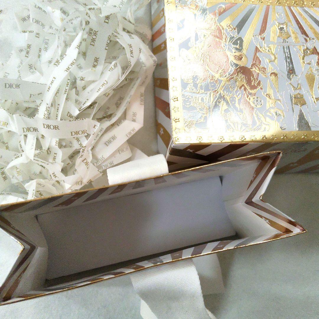 可愛い♡別売袋付♡Dior 揺れる雫 ロゴネックレス ＆フックピアス両耳