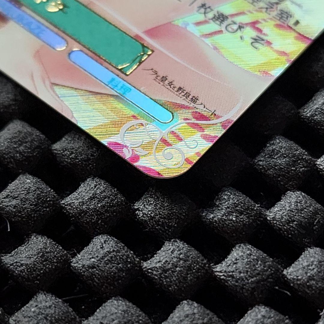 眩い柔肌 シャチ SSP サイン ヴァイスシュヴァルツロゼ harukaze