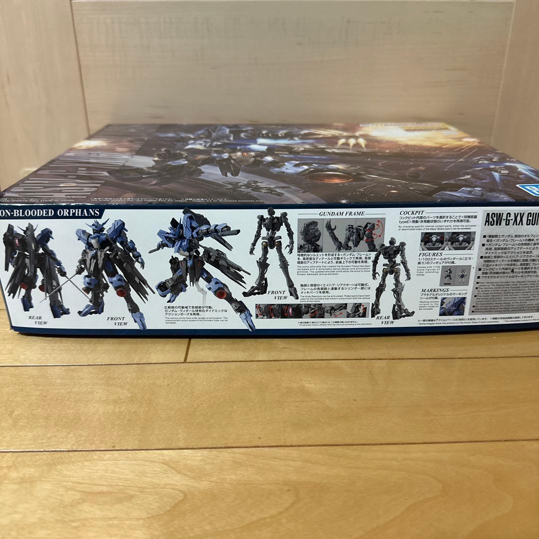 MG 1/100 ガンダムヴィダール