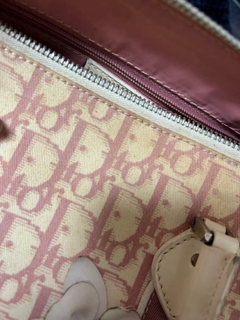 【あにまる】Christian Diorトロッター