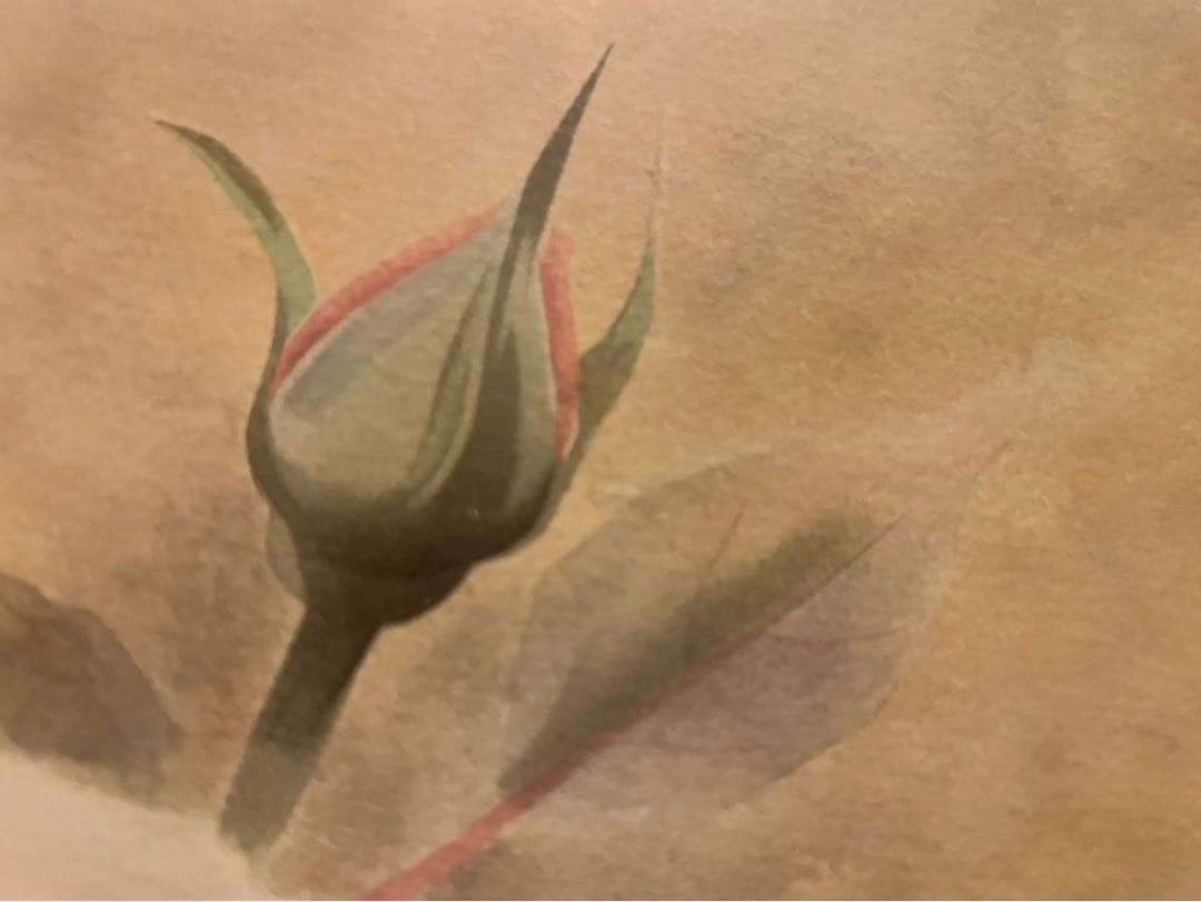 堂本元次 薔薇匂う リトグラフ アート インテリア 額縁