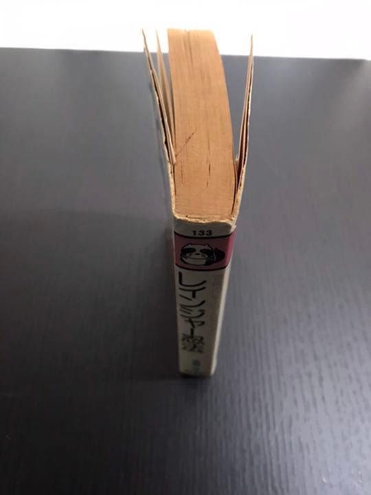 レインジャー忍法　冒険のヒーローになれる　宮崎惇