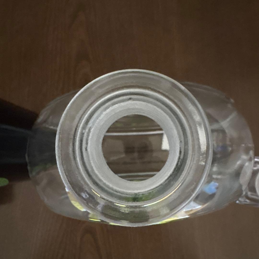 ディズニーワールド　ホーンテッドマンション　シャグとのコラボ　ボトル2点