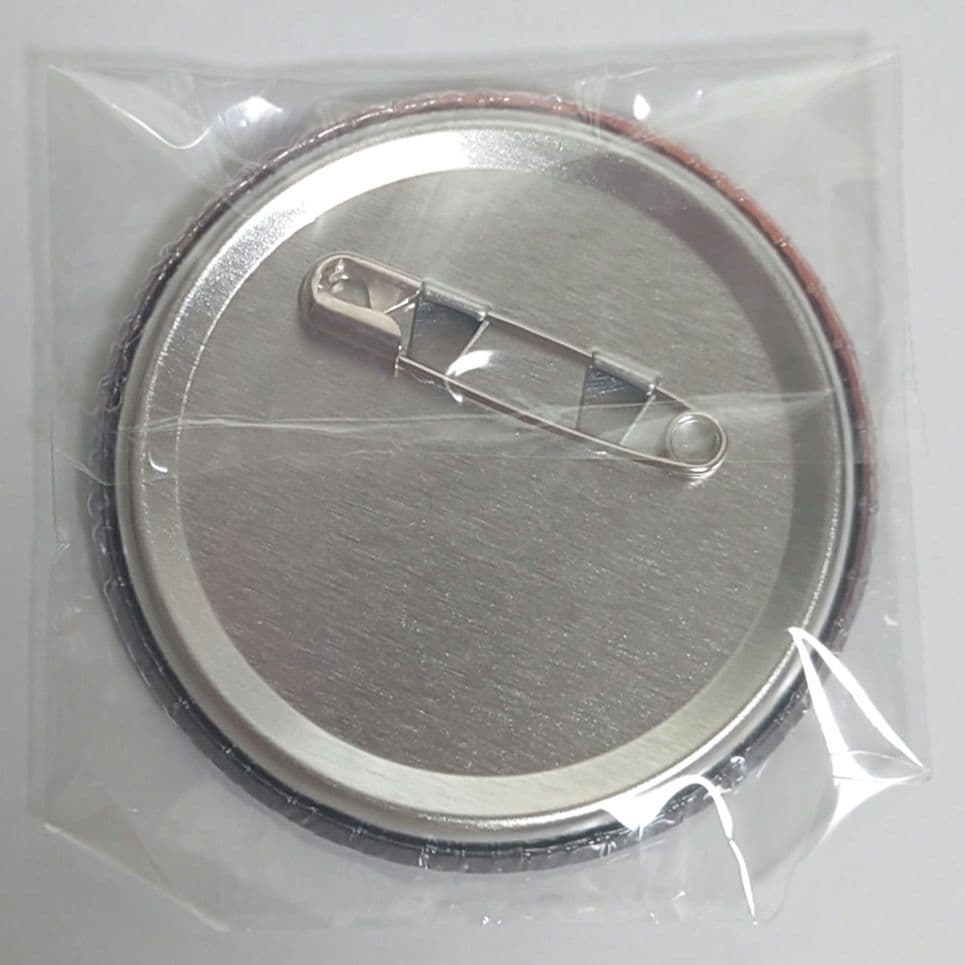 家庭教師ヒットマンREBORN!　怪物づかいツナ　缶バッジ　リボーン