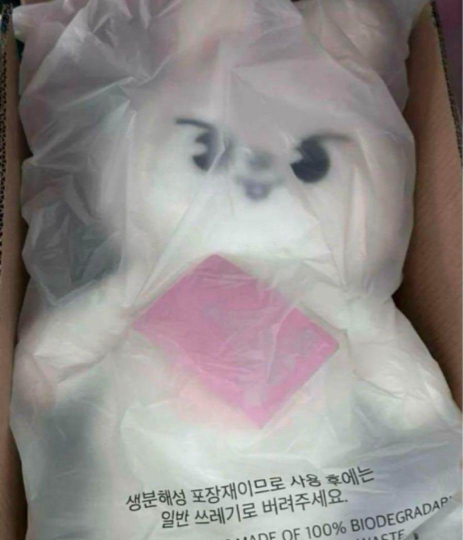 スキズ　テディベア ぬいぐるみ teddybear SKZOO リービット　リノ