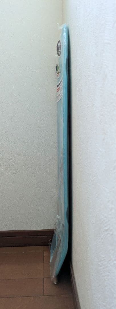 Powell Peralta パウエル スケボーデッキ未使用❗