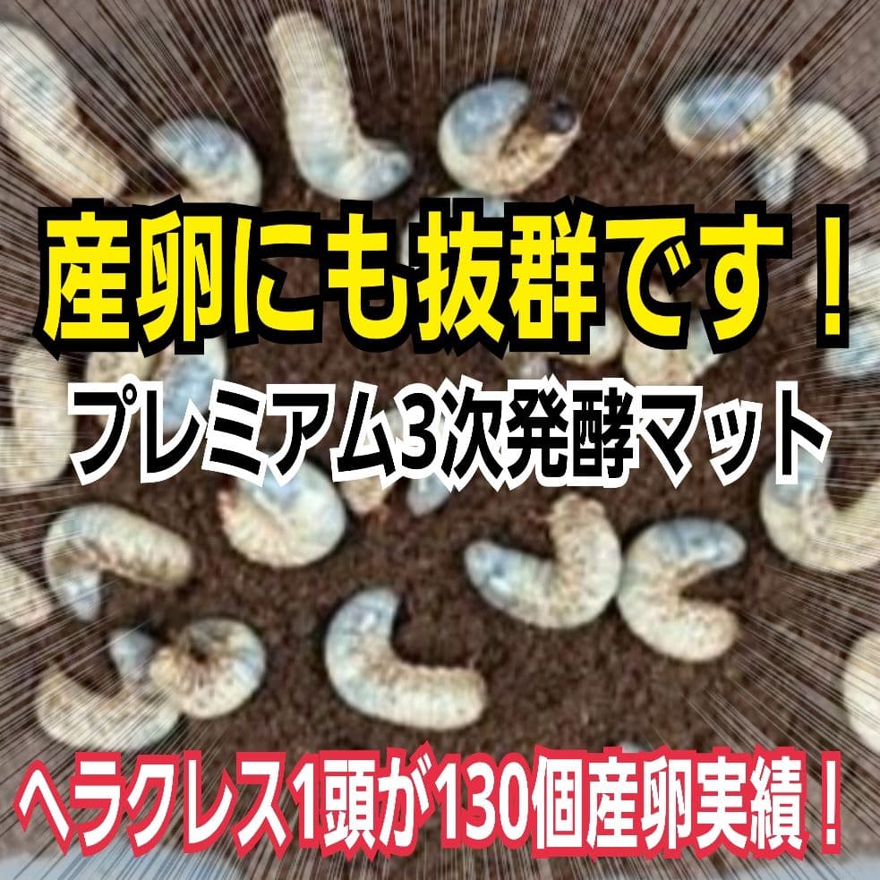 極上！プレミアム3次発酵カブトムシマット【80リットル】幼虫の餌、産卵にも抜群！