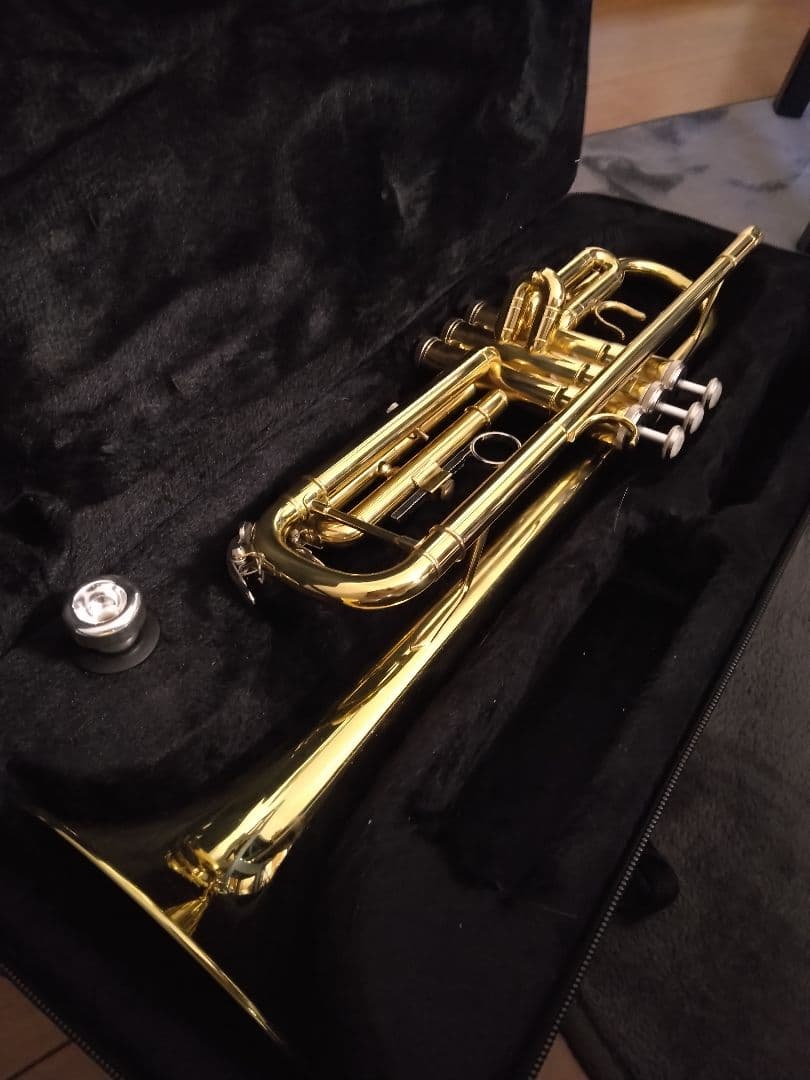 ゴールド トランペット 3バルブ ケース付き