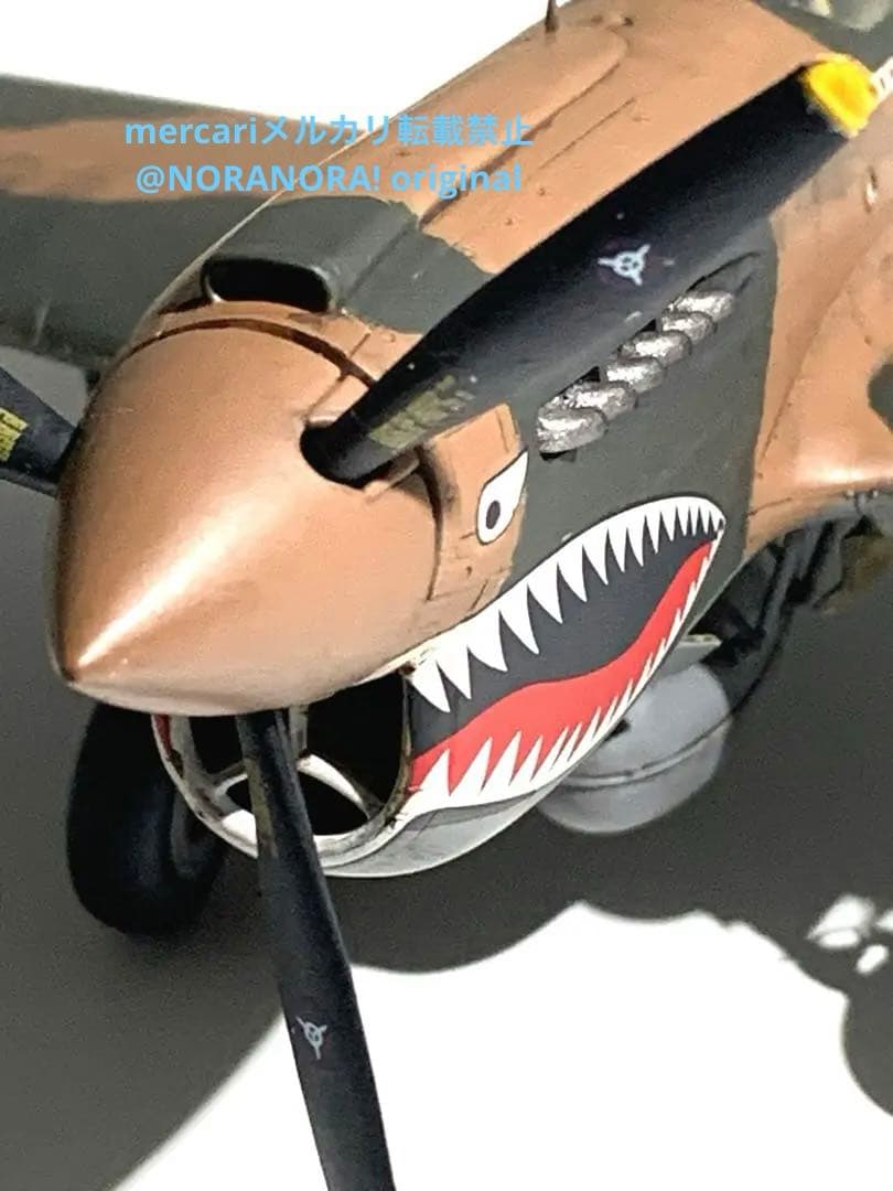 1/48 カーチスP-40E ウォーホークJT86プラモデル 完成品