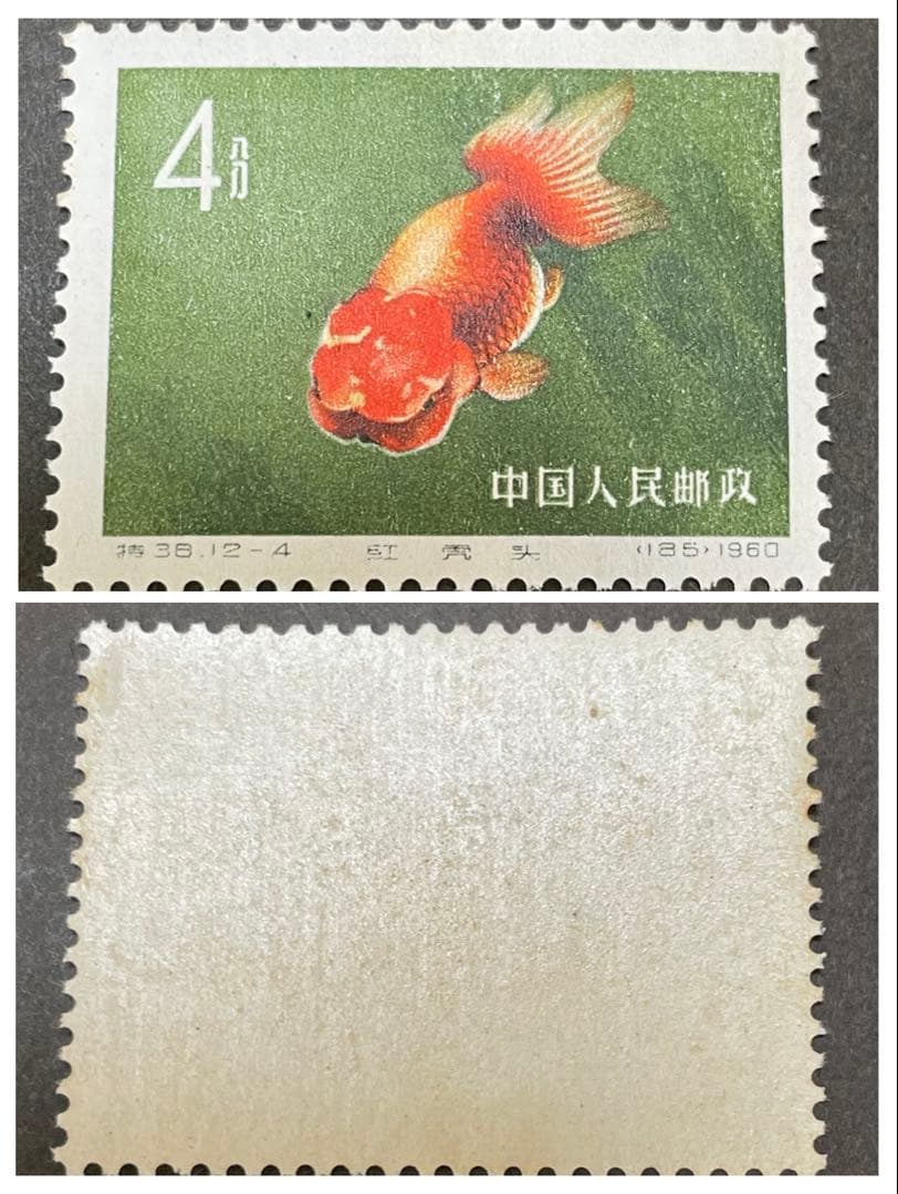 【未使用】中国切手　特38 金魚　12種完