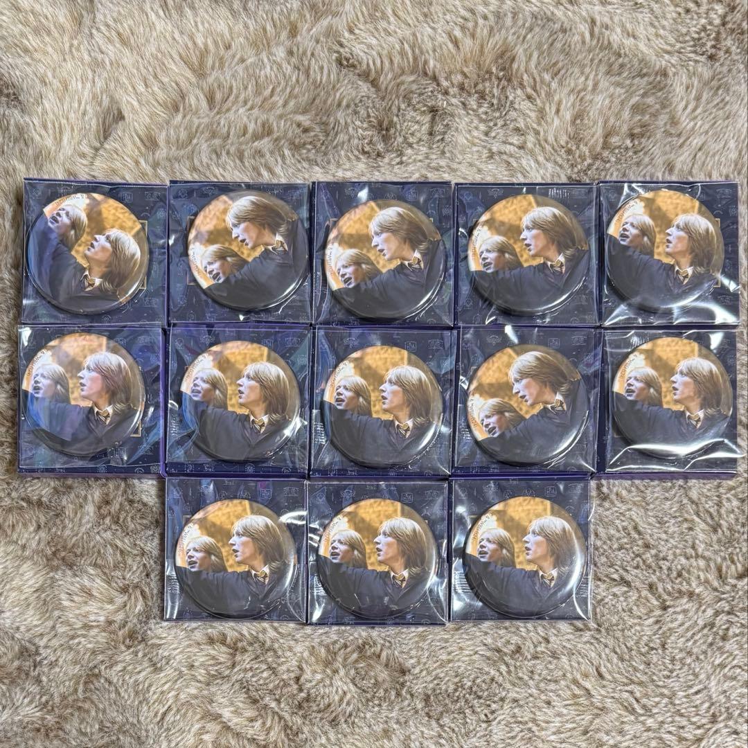 ハリーポッター flapper 缶バッジ　フレジョ39点セット