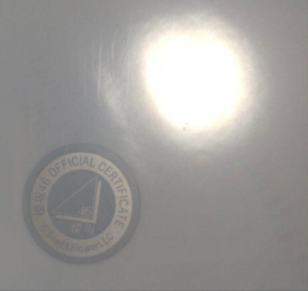 山崎天 サイン入り　　本日まで