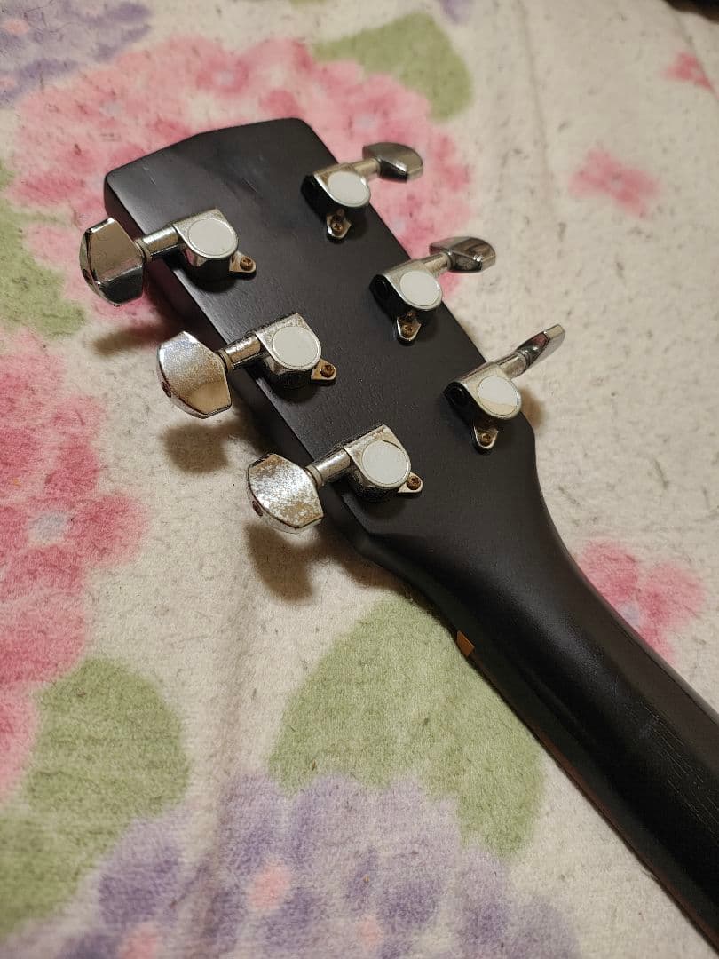 CORT AD810 OPB/マットブラック