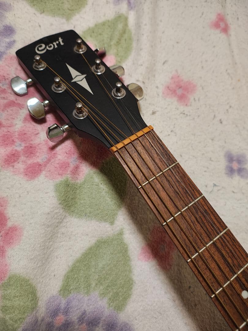 CORT AD810 OPB/マットブラック