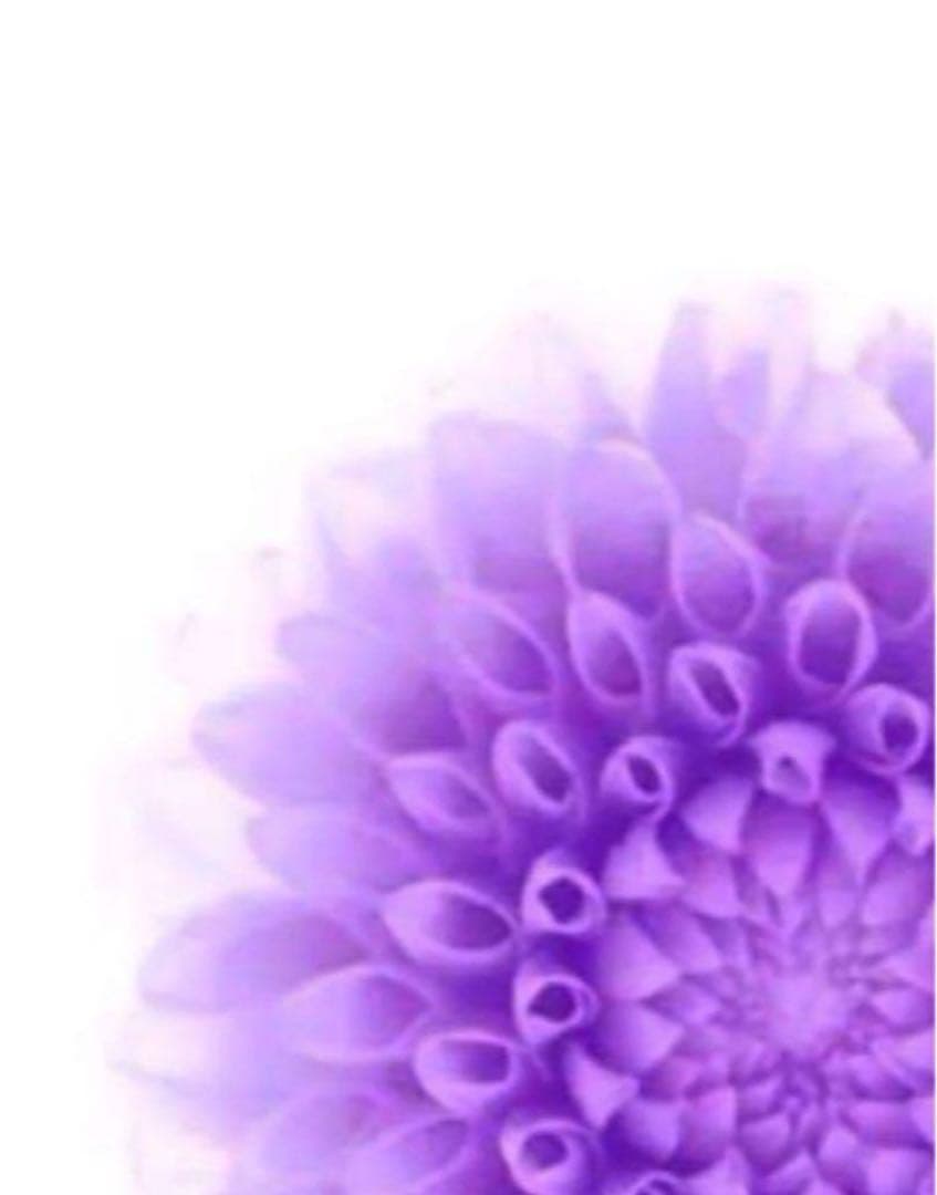 智子 ★美容原液★