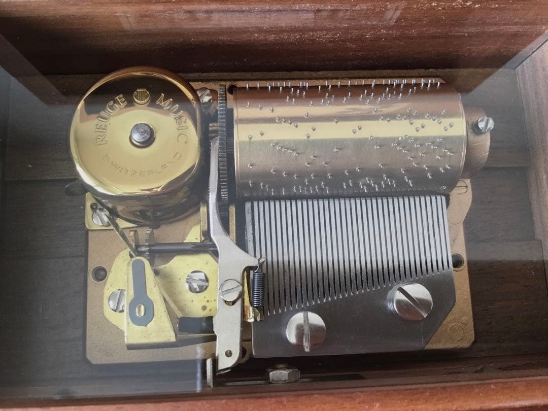 リュージュ ヴィヴァルディ四季（春）36弁