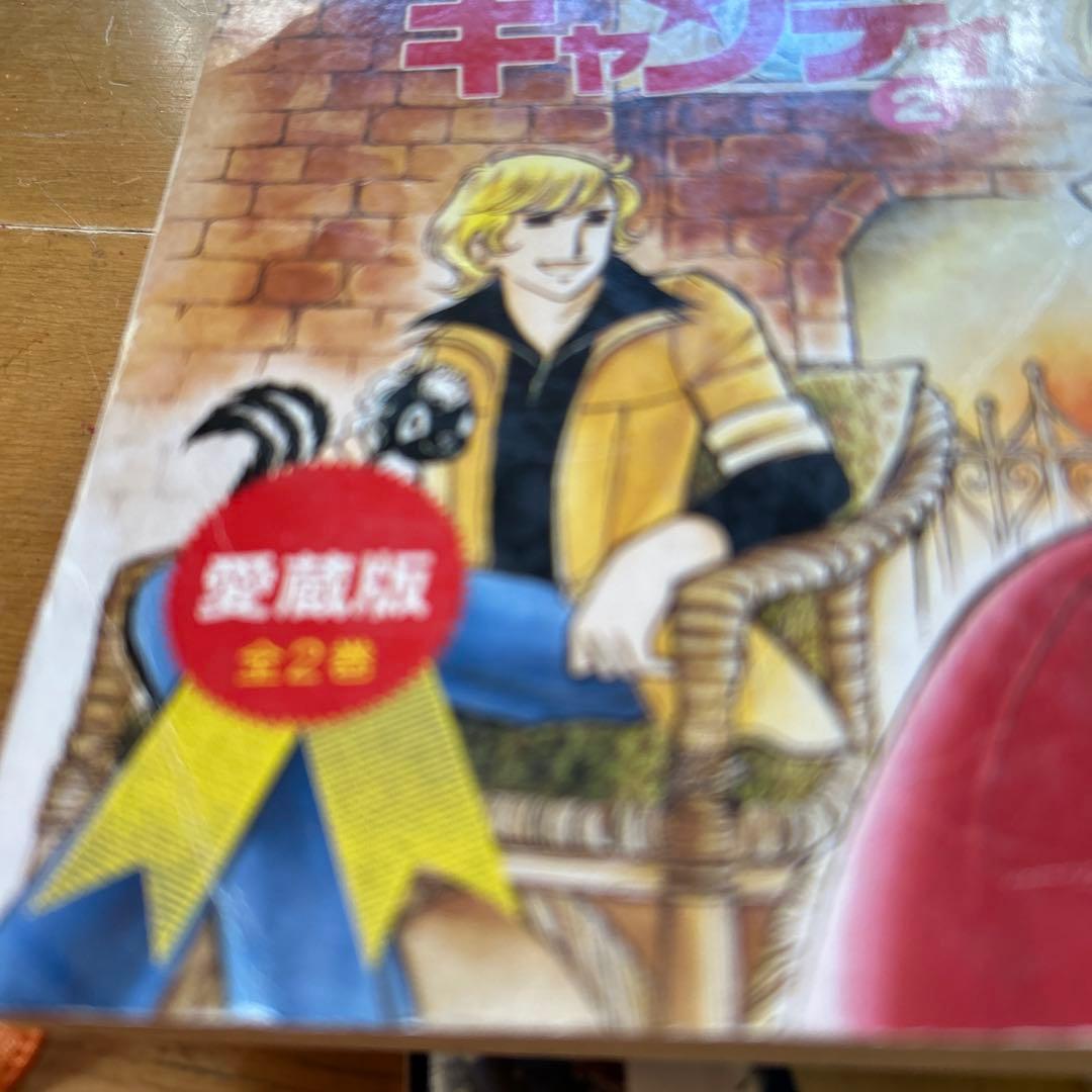 め*ん様 いがらしゆみこさんの直筆サイン入りイラストアート 漫画愛蔵版一冊 ２点