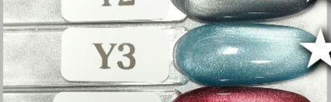 もりのくまさん