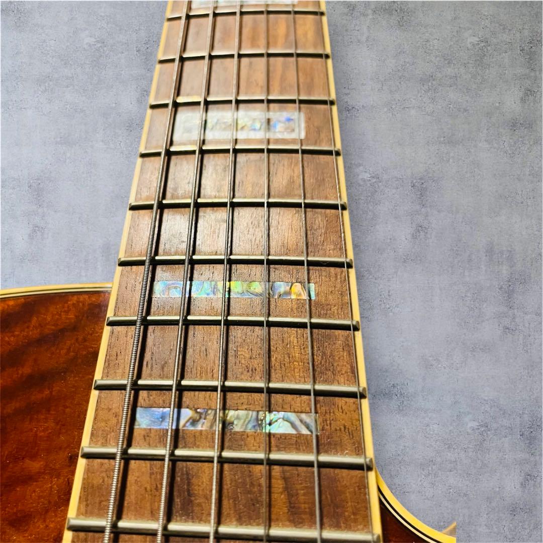 Ibanez AF85-VLS-13-01 フルアコ