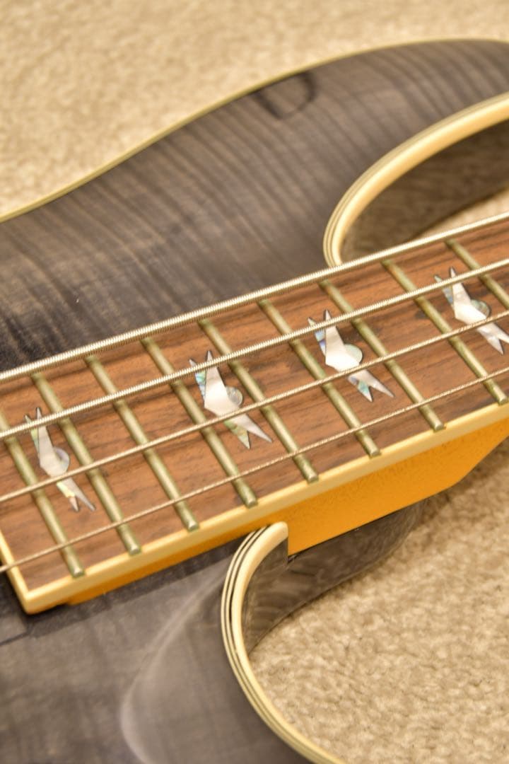 Schecter omen extreme-4 電池 ケース付き