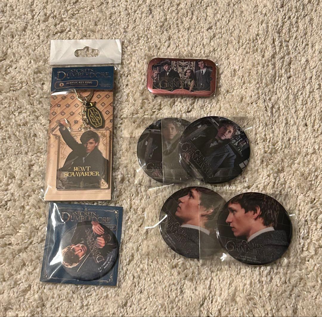 ファンタビ　ニュート　缶バッジ セット