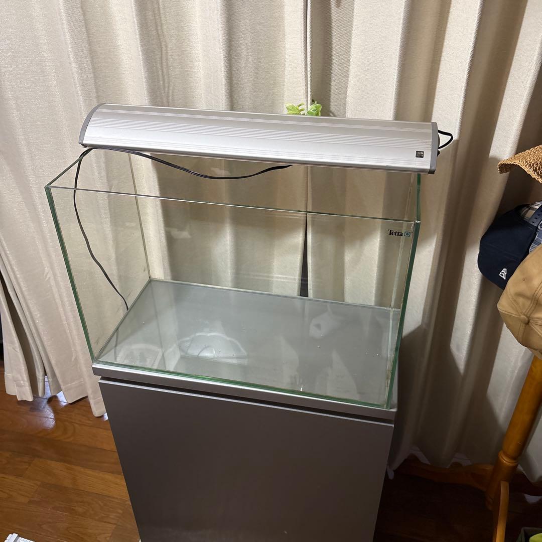 引き取り限定　60センチ水槽セット