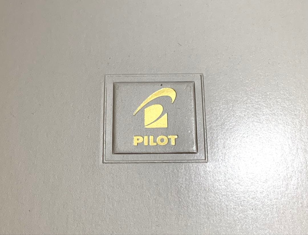 パイロット PILOT 万年筆 14K585 ゴールドペン先 5FM 箱付き