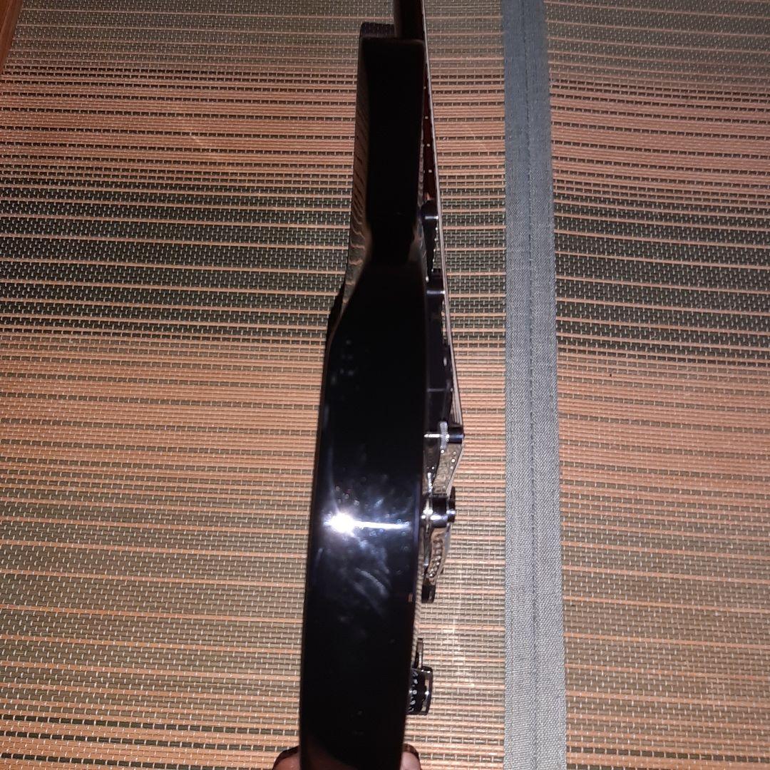 ESP グラスルーツ GrassRoots レスポール ソフトケース、オマケ付き